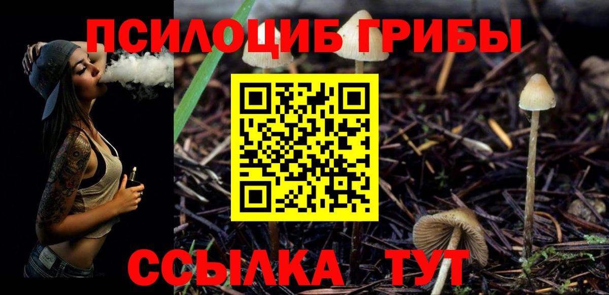 Псилоцибиновые грибы Magic Shrooms  Галлюциногенные грибы Psilocybine cubensis  Ижевск  Вход с VPN 