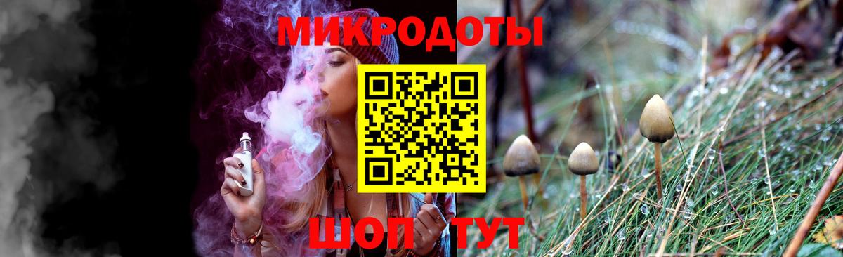 Псилоцибиновые грибы Psilocybine cubensis Ижевск