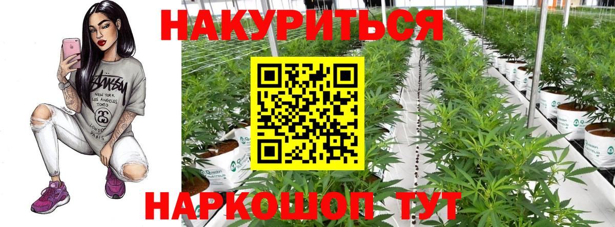 Бошки марихуана индика  Бошки марихуана планчик  Вход с VPN  Ижевск 